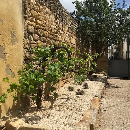 Au Coeur D'un Domaine Viticole * Saint-Christol (Herault)